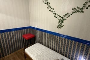 Хостел АрАрАт Позняки. Эконом одноместный  2