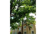 Guest house Kiev forest 16