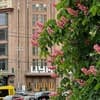 Manhattan High Line Apart 5-6/40