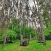 Отель ONOVO Dendra Hotel. Коттедж двухместный PREMIUM 5