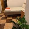 Room 16 18-19/25