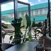 Slavutich Ecoloft studios 10-11/12
