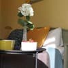 Отель Sunflower B&B. Улучшенный двухместный с балконом и кроватью king size 5